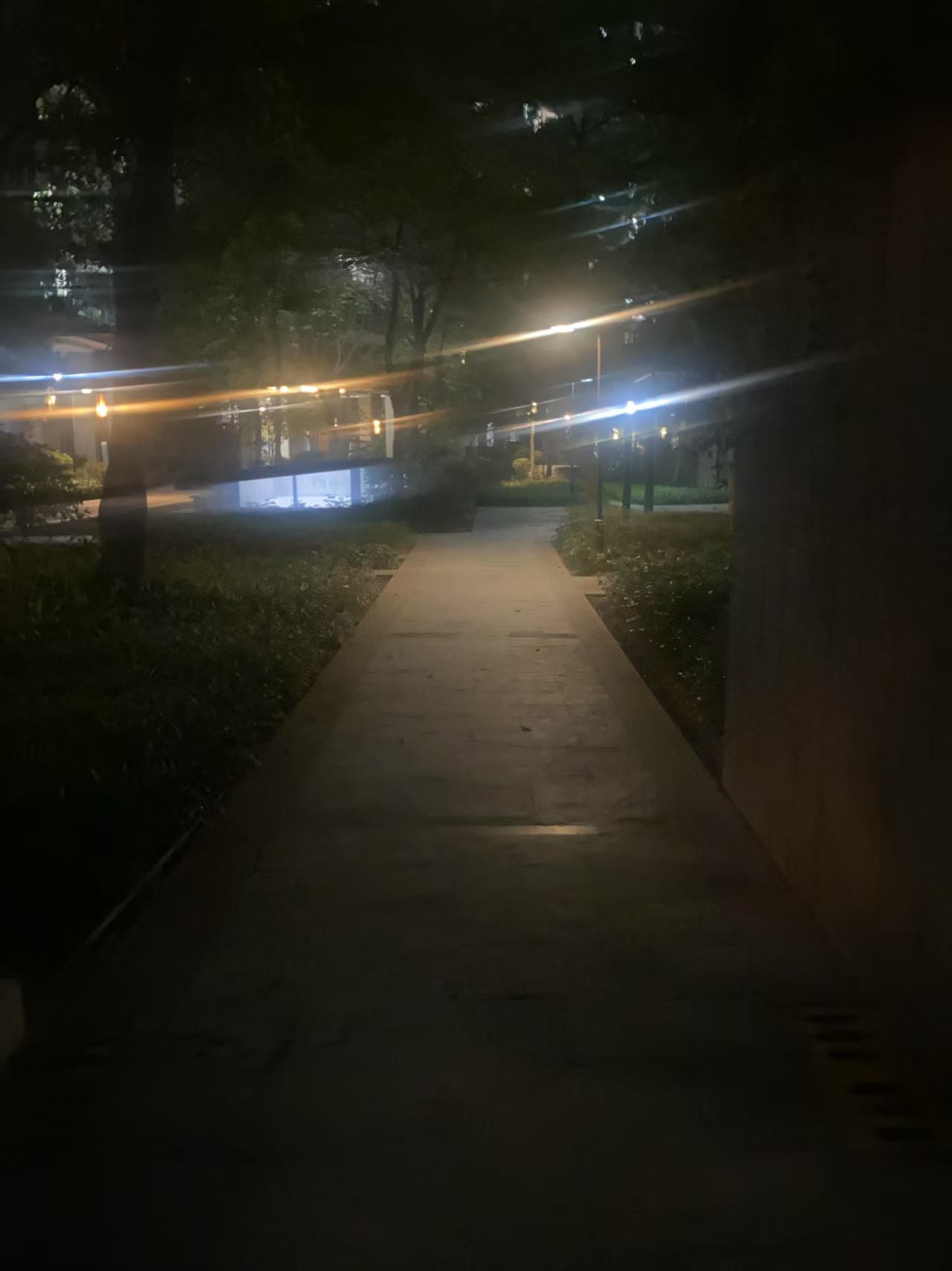 Cover Image of the Post