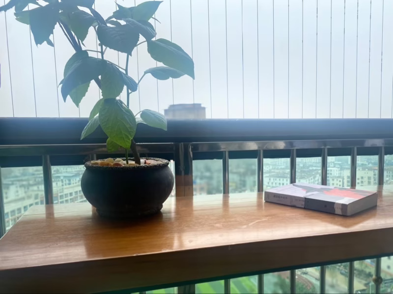 Cover Image of the Post